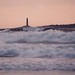 Sharon Thacher Photo 10