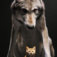 Judy Dietz Photo 1