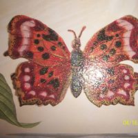 Georgia Pease Photo 1