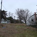 Harold Hadden Photo 17
