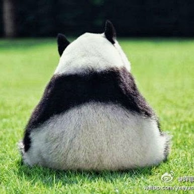 Zhe Zhao Photo 10
