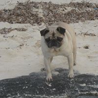 Margaret Mcnab Photo 2
