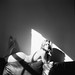 Lawrence Bourne Photo 16