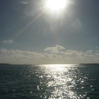 Laura Borges Photo 2