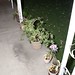 Kevin Plant Photo 33