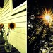 Sun Song Photo 34