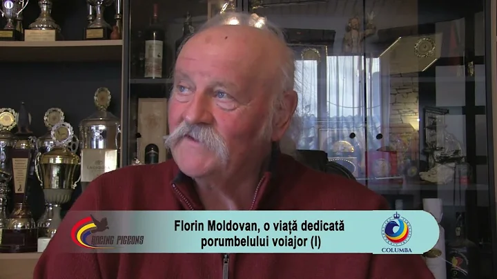 Florin Moldovan Photo 23