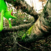 Kermit Wood Photo 20