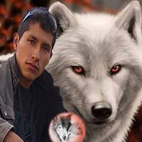 Luis Teran Photo 7