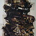 Werner Simon Photo 20