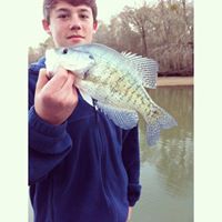 Matthew Murphree Photo 3
