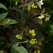 Clay Barber Photo 23