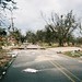 Roy Burke Photo 32