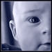 Ethan Lee Photo 43