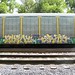 Paul Ero Photo 20