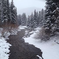 Tim Voyles Photo 8