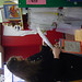 Rebecca Bourgeois Photo 30