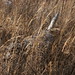 Graham Hunt Photo 40
