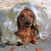 Marilyn Long Photo 42