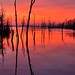 Dawn Howell Photo 31