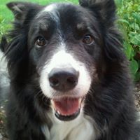 Murphy Bailey Photo 3