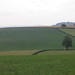 Devon Stone Photo 33