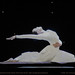 Denise Harrell Photo 33