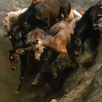 Randy Scofield Photo 8