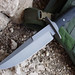 John Horrigan Photo 45