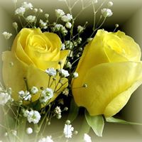 Harshida Patel Photo 2