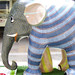 Raman Kumar Photo 40