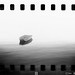 Stephen Schafer Photo 32