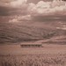 Henry Hoke Photo 16