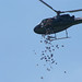Mark Halvorsen Photo 28