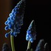 Charles Oneil Photo 20