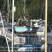 Janet Havens Photo 31