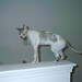 Rex Kelley Photo 28