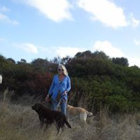 Vicki Foster Photo 5