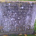 Paul Watlington Photo 12