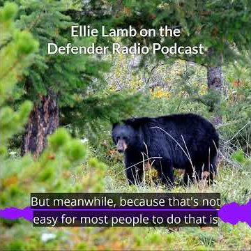 Ellie Lamb Photo 23