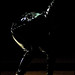 Ricardo Ascencio Photo 30