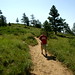 Alan Cohn Photo 40
