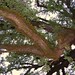 Raymond Branch Photo 32