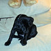 Elizabeth Boyer Photo 43