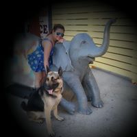 Marisol Pineda Photo 6