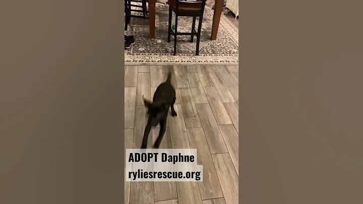 Daphine Foster Photo 11