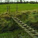 Paul Cavan Photo 15