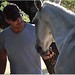 Paul Manganiello Photo 18