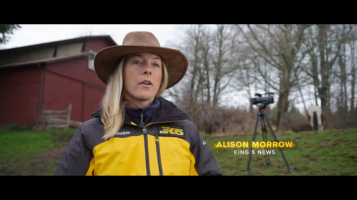 Alison Morrow Photo 26