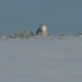 John Bahls Photo 10